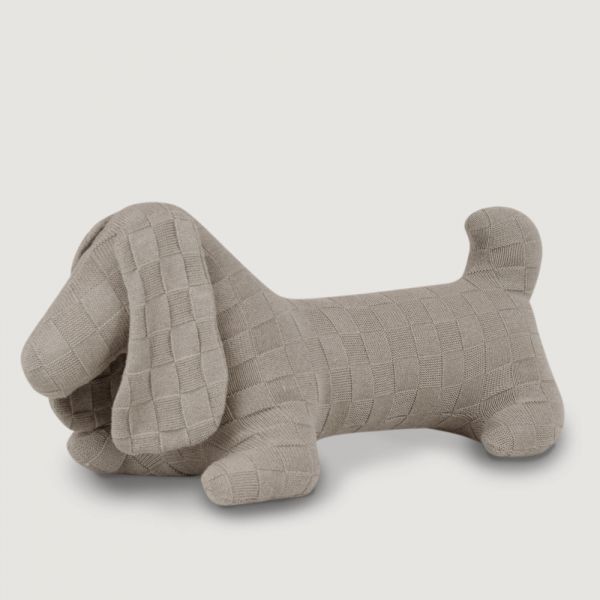 Cachorro Cachorro